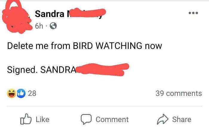 Sandra Does Not Care For These Feathered Fools