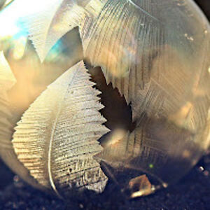 sandrapadgett avatar