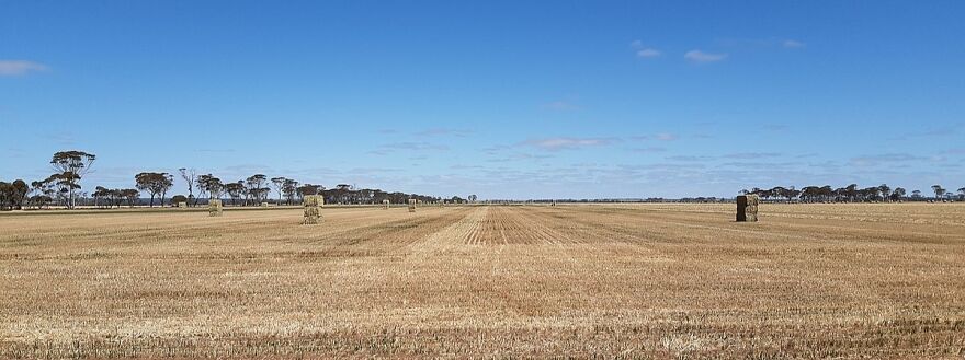 Harvested wheat fields east of Kulin, Western Australia, on the Kulin to Lake Grace Road