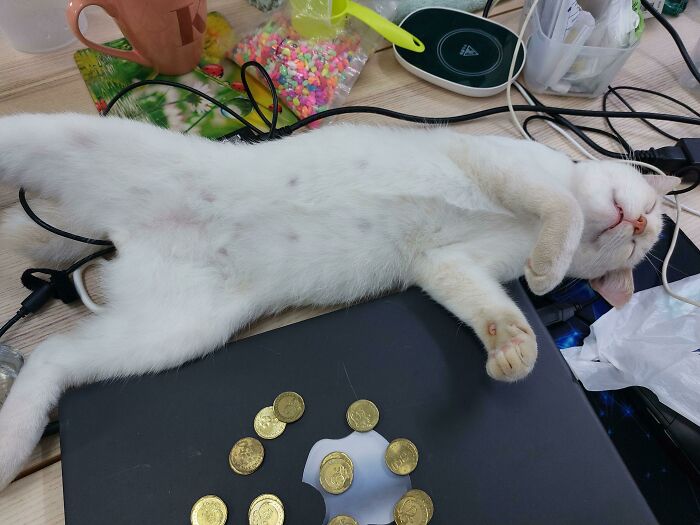 After Counting Some Coins, Blue Got Tired