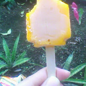 puterilarasati avatar