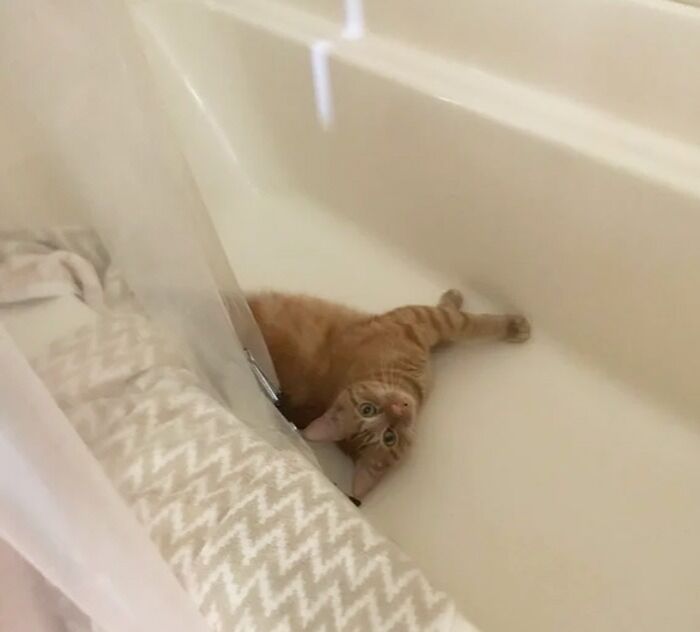 My Jim, Who I Love With My Whole Heart