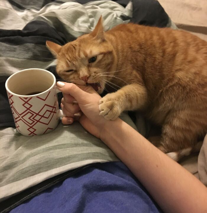 I Can’t Have Coffee In Peace