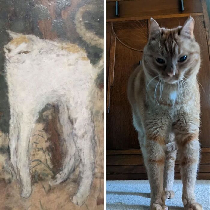 Ron Used The Brain Cell To Channel His Inner Medieval Cat