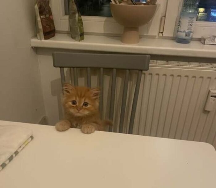 This Is Marx, He Is Here To Seize The Means Of Production