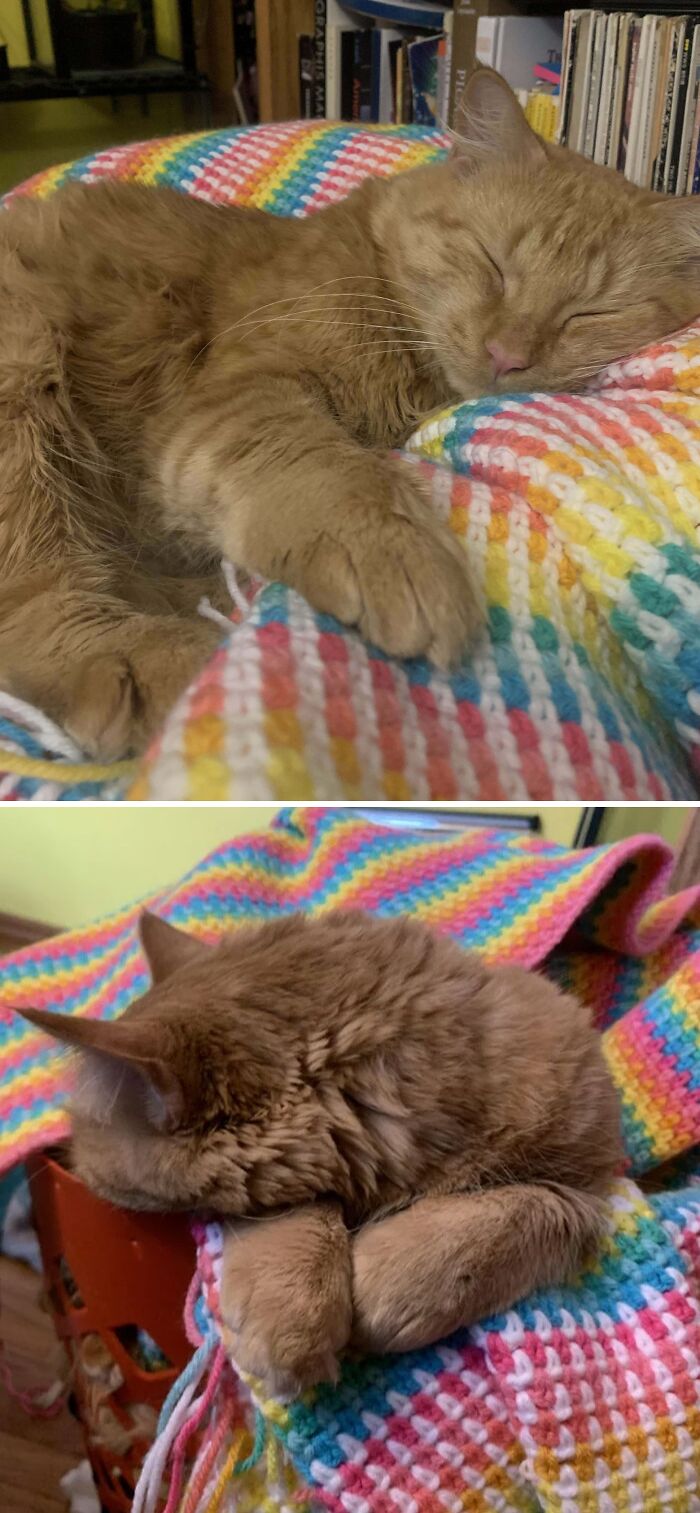 My Boy Has Taken Over The Blanket I’ve Been Crocheting… It’s His Now