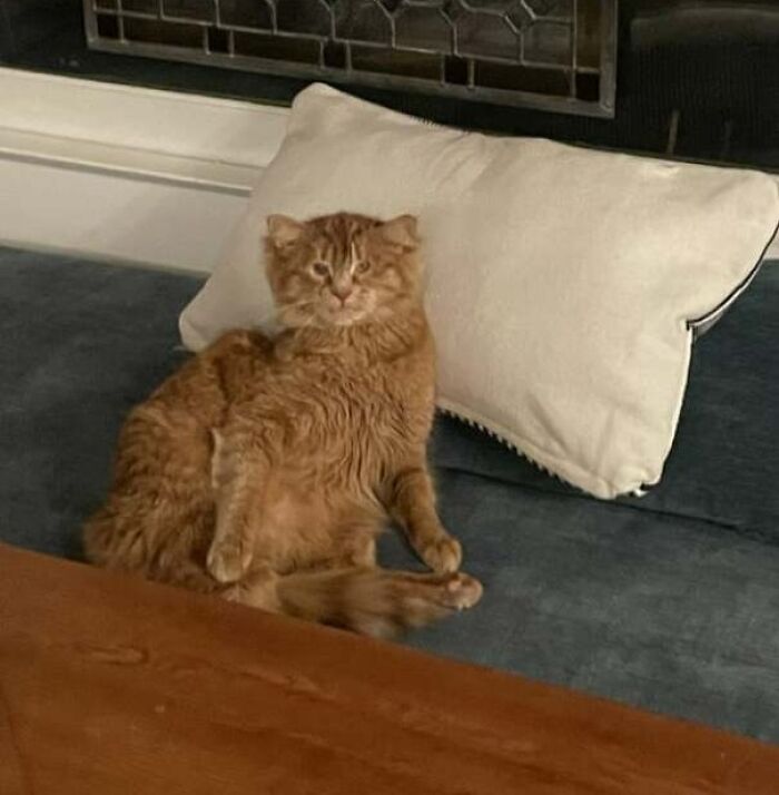 Eddie Chillin On Our Bump-Out Seat