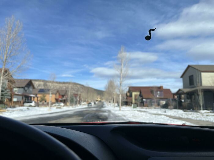 Bird Dropped A Quarter-Note Turd On My Windshield