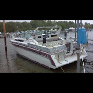 richardgajewski avatar