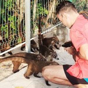 electricstorm1984 avatar