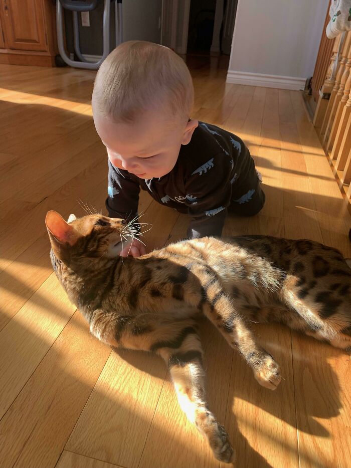 My Kid And Cat This Morning