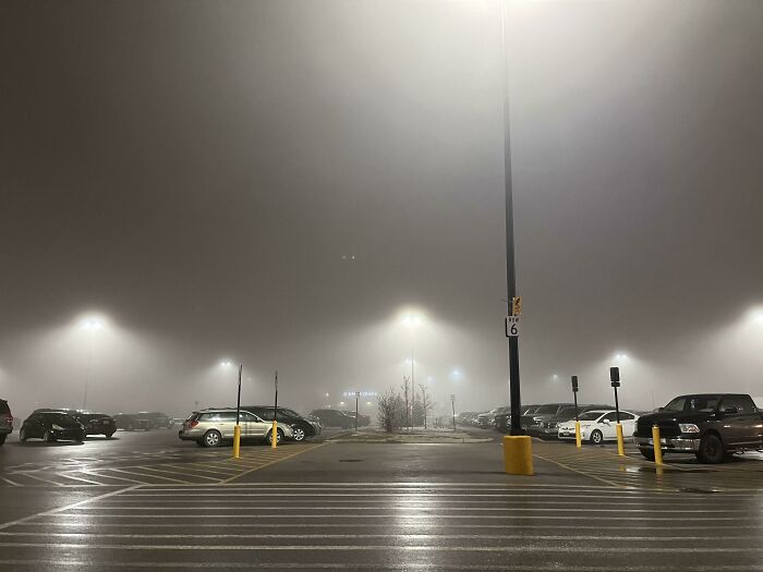 Fog And Street Lights Makes It Look Like Aliens Are Descending Upon Earth