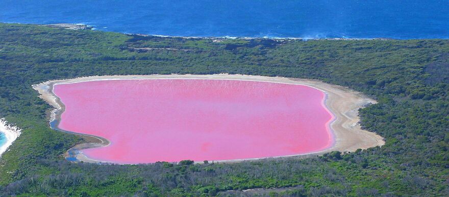 Pink lake - the Lake Hillier, Middle Island, Recherche Archipelago Nature Reserve, in Western Australia