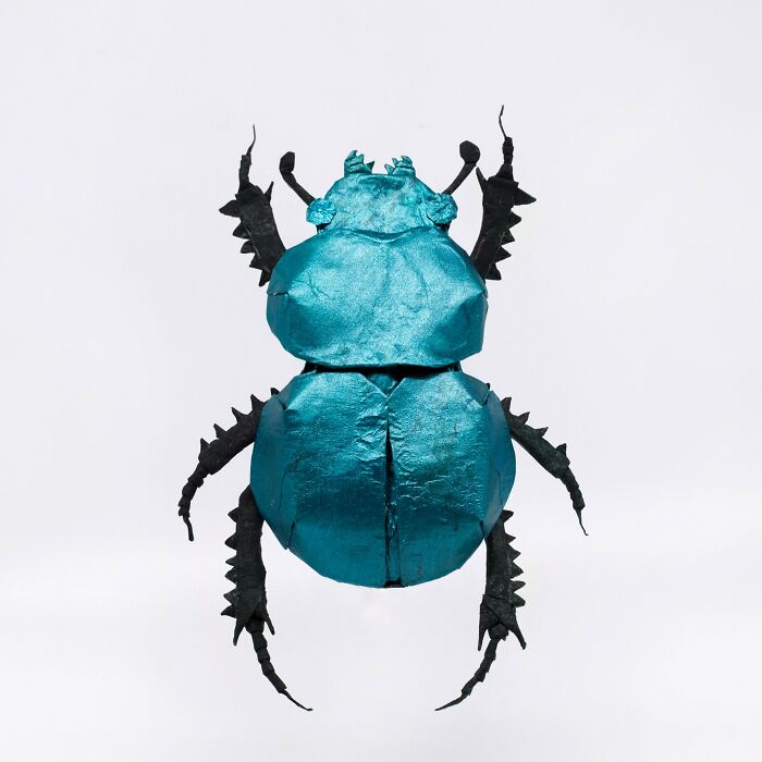 An Origami Dung Beetle I Folded From One Uncut Square Of Paper