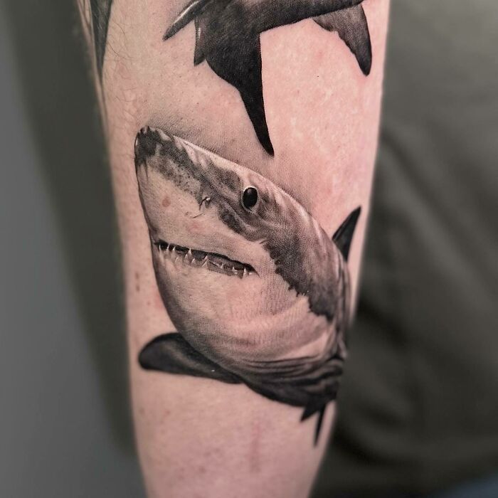 Realistic shark tattoo on forearm showcasing detailed artistry.