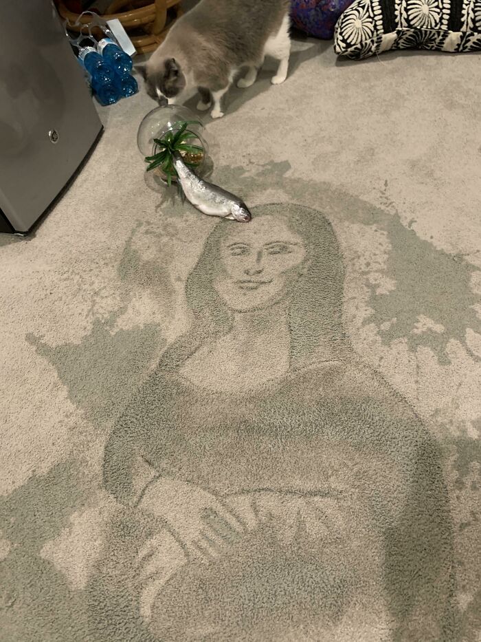 Somebody Knocked Over My Fish Bowl And It Looks Oddly Like The Mona Lisa