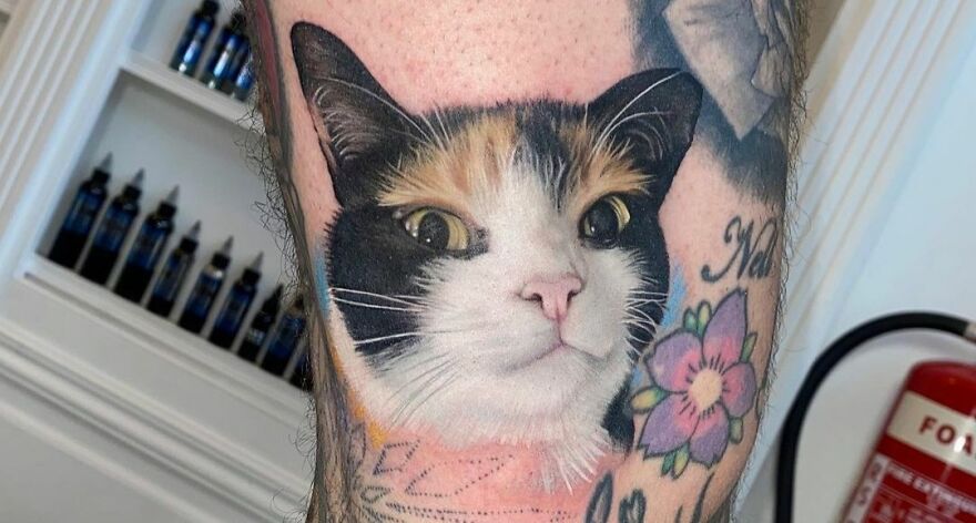 A realistic tattoo of a cat featuring intricate colors and details on a person's arm, showcasing amazing tattoo artistry.