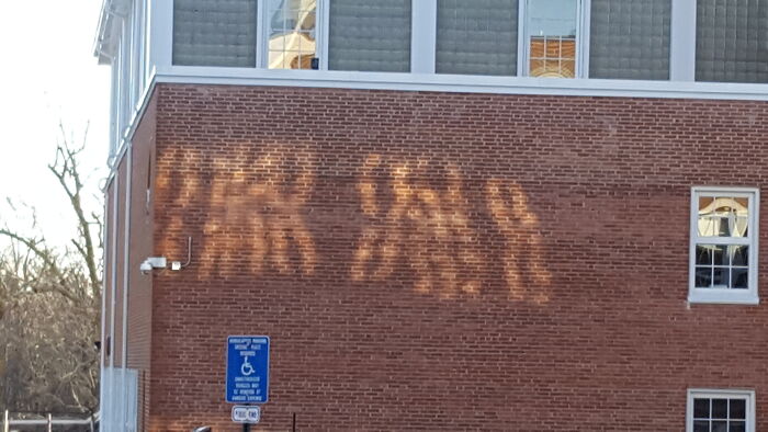Light Reflected Onto This Wall Looks Like Chromosomes During Meiosis