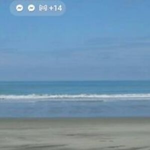 majer_osickey avatar