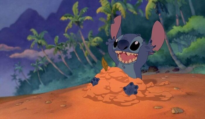 Stitch playing with the sand 