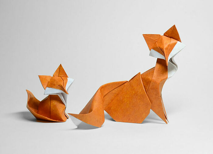 Wet Folding Technique Origami By Hoeng Tien Quyet