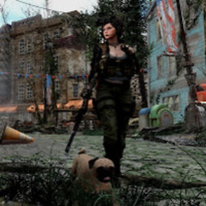 andrewdonahue avatar