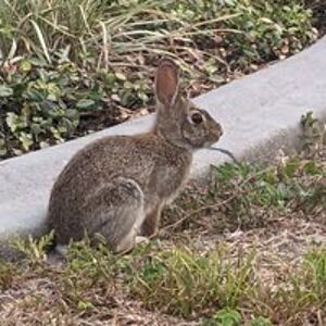 maryelizwilkins avatar