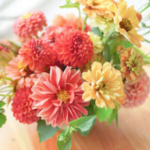 randomperson_3 avatar