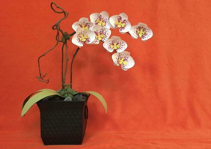 My Paper Flower Orchid Arrangement