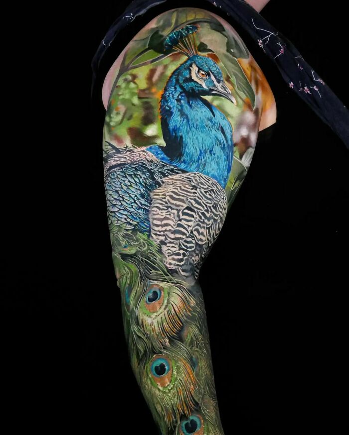 Peacock Sleeve 