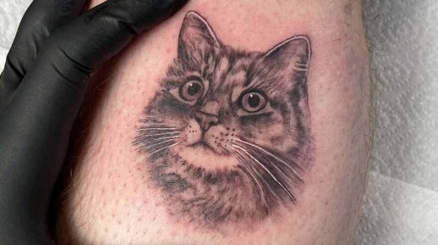 A hyper-realistic cat tattoo on skin, depicted in detailed grayscale, highlighted by a gloved hand.