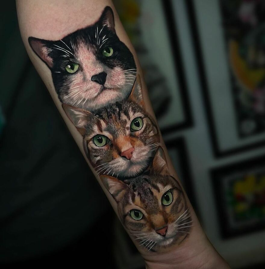 Realistic tattoo of three cat faces on a person's forearm, showcasing amazing artistry and detail.