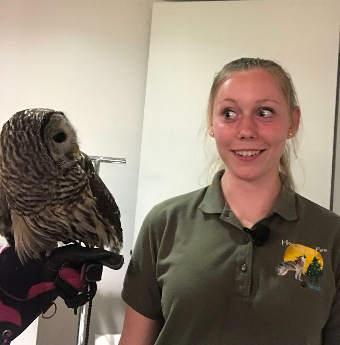 I Met An Owl Today, We Had The Same Reaction!