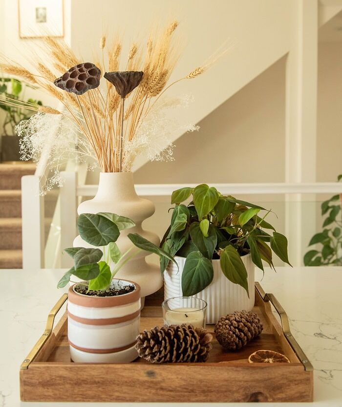 Home organization idea with potted plants and pinecones on a wooden tray for stylish decor.