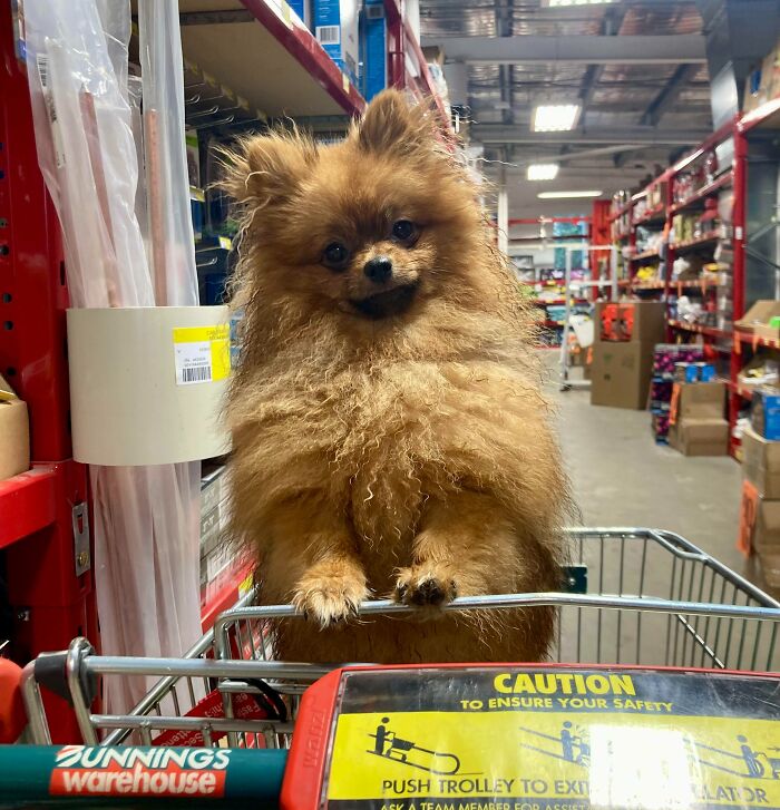 Do You Have Games On Your Phone?