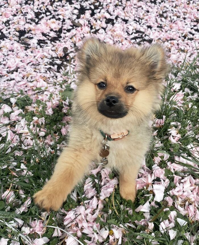 My Favorite Picture Of Archibald