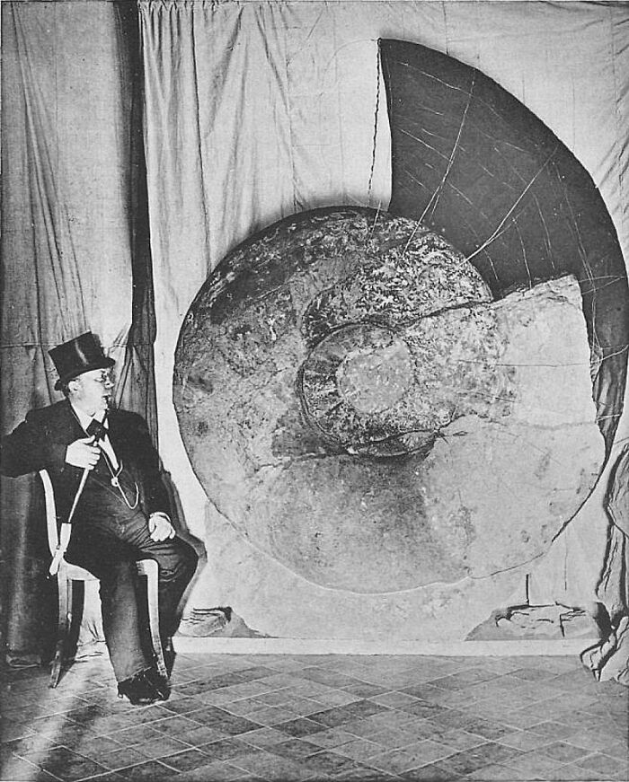 Parapuzosia Seppenradensis, The Largest Known Ammonite, Photographed In The Late 1800s With The Paleontologist Who Described It