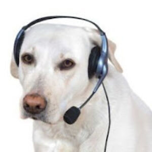 sholaicahparagosomanatad avatar