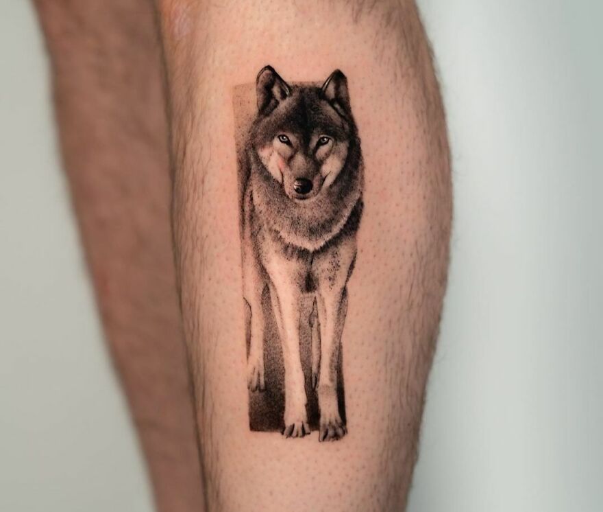 A super realistic wolf tattoo on a person's leg, showcasing intricate details and lifelike shading.