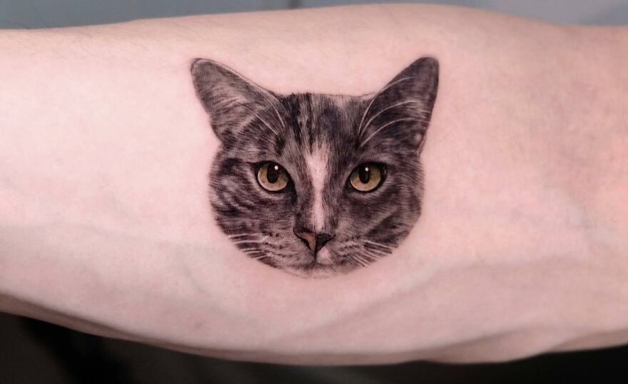Cats face tattoo on forearm