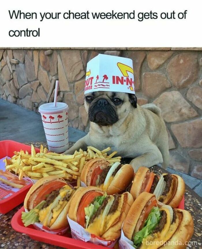 Funny-Food-Jokes-Memes-Wannabe-Food