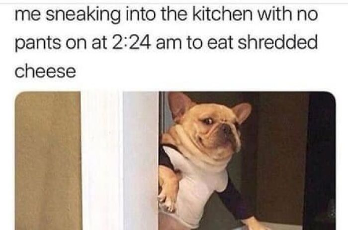 Funny-Food-Jokes-Memes-Wannabe-Food