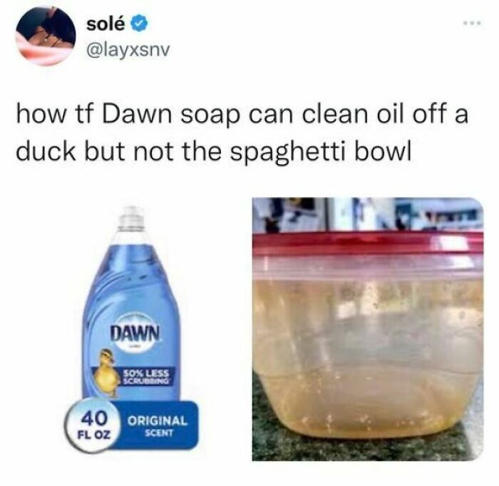 Funny-Food-Jokes-Memes-Wannabe-Food