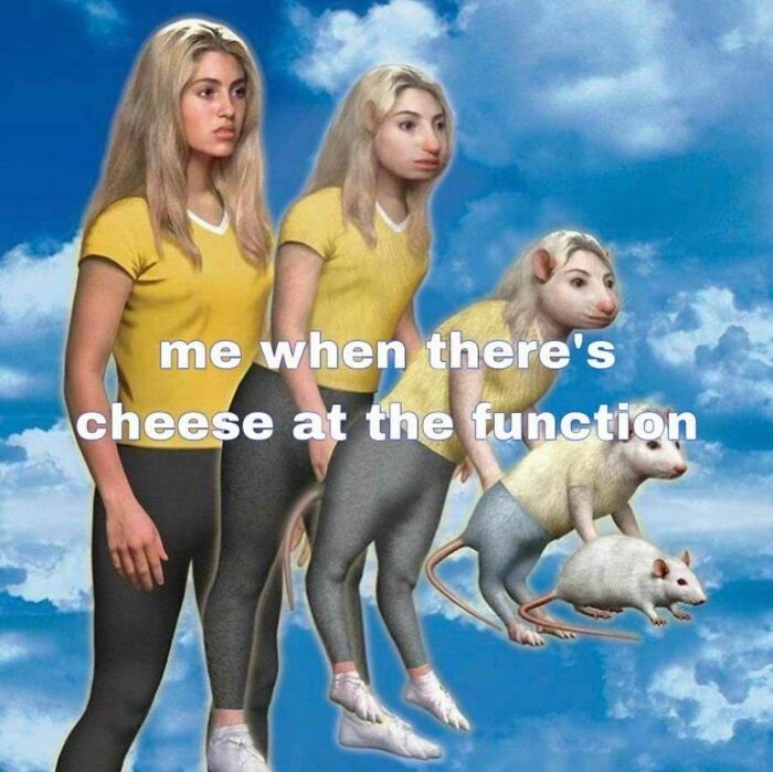 Funny-Food-Jokes-Memes-Wannabe-Food