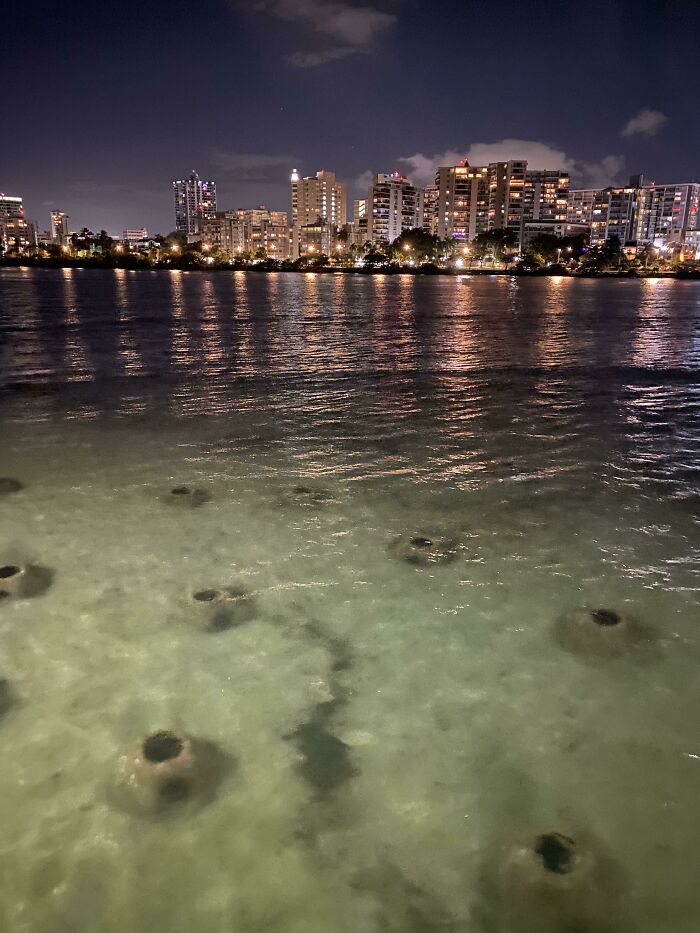 I Saw Some Unsettling Holes In The Water In San Juan
