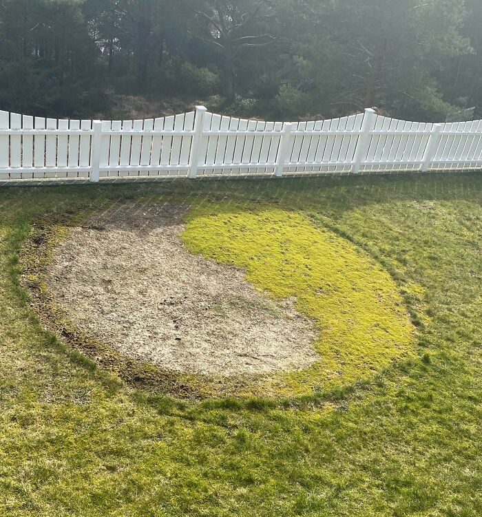 My Lawn Made A Natural Yin-Yang Symbol After A Pool Stood There