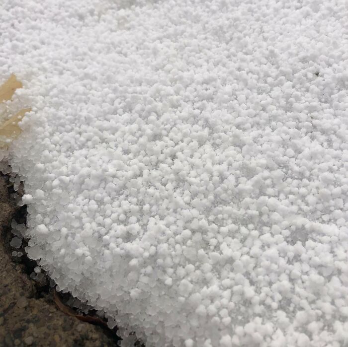 The Snow In Salt Lake City Today Looks Like Dippin’ Dots
