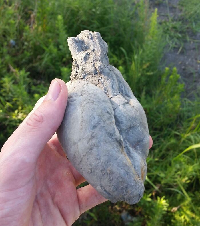 I Found A Rock Shaped Like A Heart