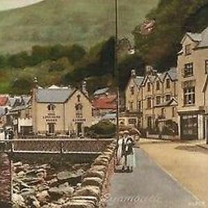 soniavillarruel avatar