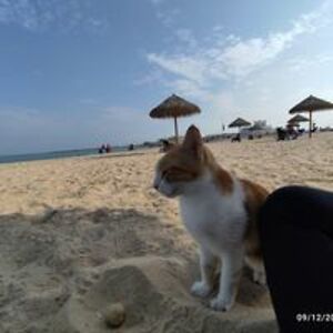 chrissy_belgium avatar